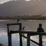Collingwood Jetty