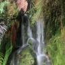 Mossy Cascade