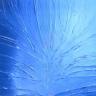 Ice Tree