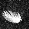 Feather