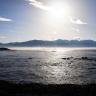 Kaikoura Coast (I)